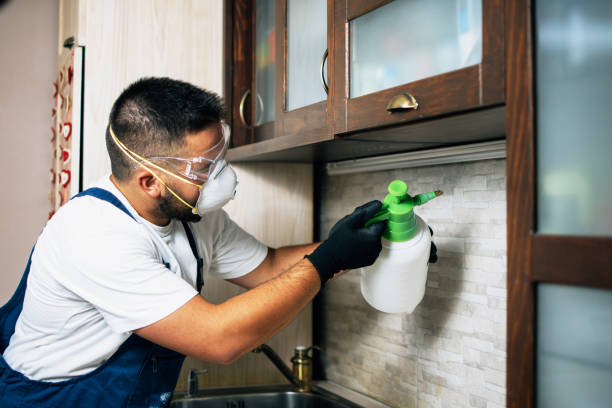 Best Exterminator Services  in Bartlett, TX