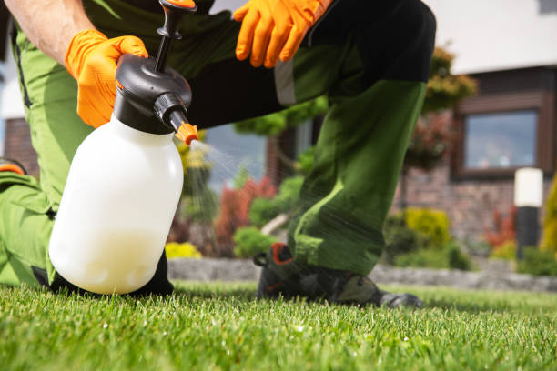 Best Cockroach Control Services  in Bartlett, TX