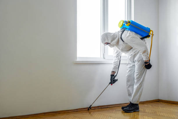 Best Bed Bug Extermination  in Bartlett, TX