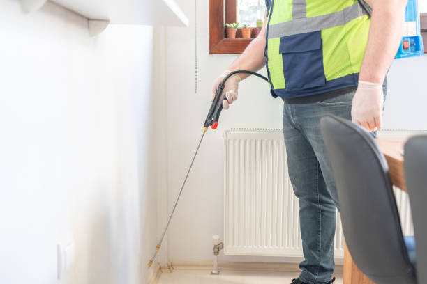 Best Local Pest Control Services  in Bartlett, TX