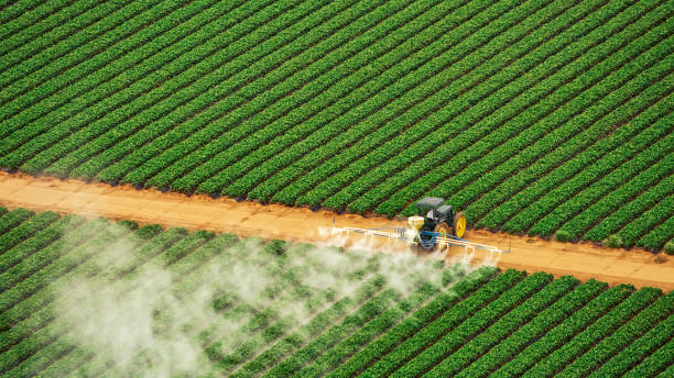 Best Pest Removal Services  in Bartlett, TX