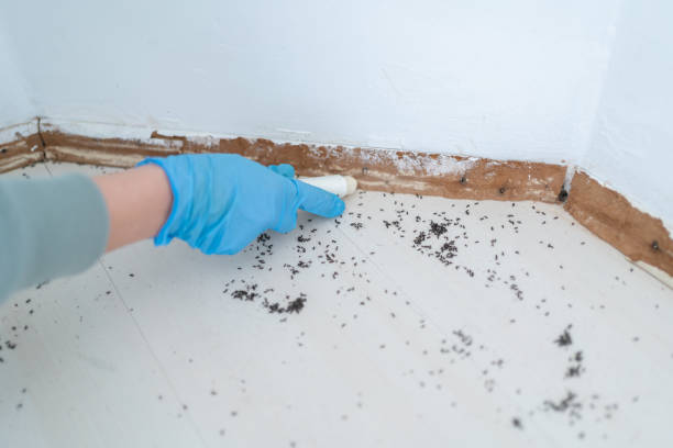 Pest Control Cost in Bartlett, TX